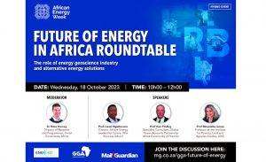 Future of energy in Africa roundtable