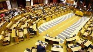 New faces, old scandals: The familiar staleness of South Africa’s 2024 National Assembly