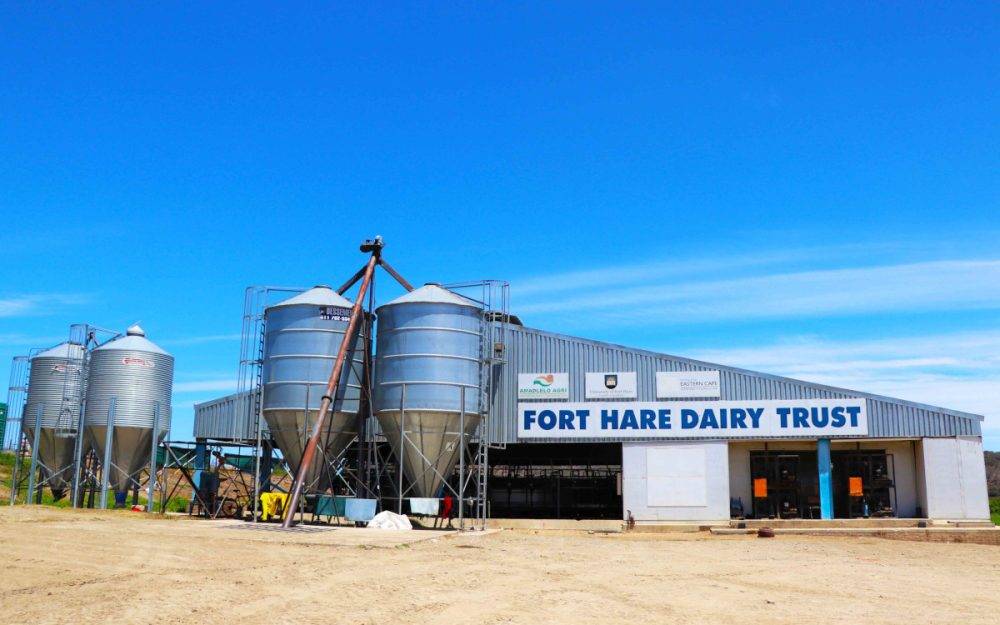 Eastern Cape offers importance and potential for SA’s dairy industry