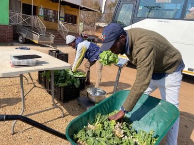 Ugly vegetables create a beautiful story