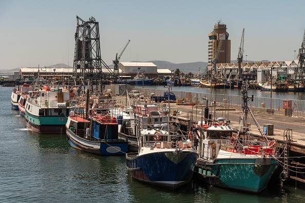 Fishing companies take Creecy to court over quotas