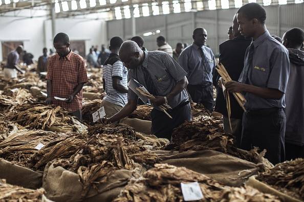 Smokes and mirrors: How Big Tobacco may have avoided Malawi’s taxman