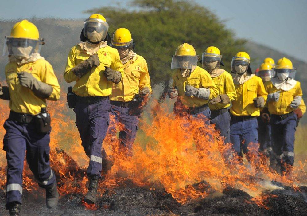 SA’s wildfire crisis escalates with 1802 fires this year alone